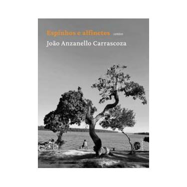 Imagem de Espinhos e Alfinetes - Grua Livros