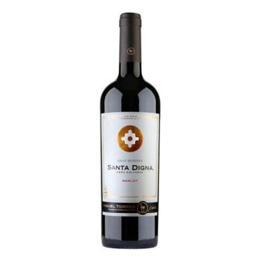 Imagem de Vinho chile santa digna gran reserva merlot 750ml