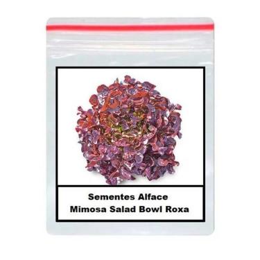 Imagem de Sementes De alface mimosa salad bowl Roxa 100 unidades - GDEZ