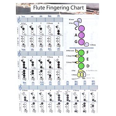 Imagem de RiToEasysports Gráfico de Dedilhado de Flauta, Guia Prático de Papel Revestido para Iniciantes Em Flauta. Material: Papel Revestido (Tabela de dedilhado de flauta para trompete)