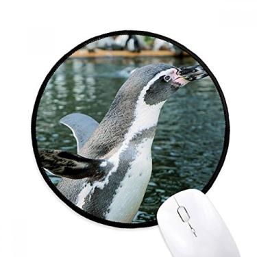 Imagem de Tapete de mouse com imagem de ciência do pinguim antártico da natureza para mesa de escritório tapete redondo para computador