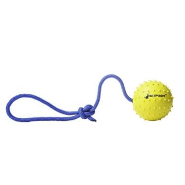 Imagem de Nero Ball Splash! – Bola flutuante de borracha para cães em uma corda – praia, lago, piscina, exercício e recompensa para cães