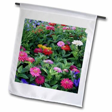 Imagem de 3dRose fl_3145_1 Zinnias, bandeira de jardim, 30,5 x 45,7 cm