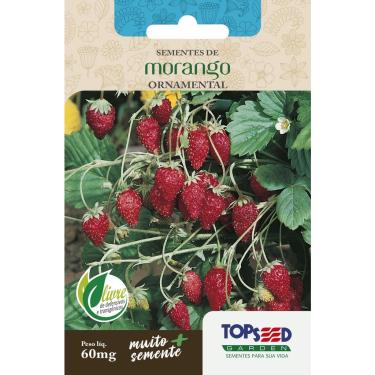 Imagem de Sementes de Morango Ornamental Carnudas Vasos Horta Flores Hortas