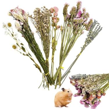 Imagem de PINVNBY Roupa de cama de hamster natural com flores e ervas, decoração de habitat, roupa de cama de porquinho-da-índia, hamster, sprays, acessórios para gaiola de hamster para porquinho-da-índia,