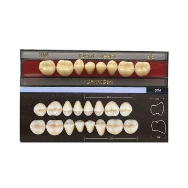 Imagem de Dente Dent Clean Posterior 30M Inferior - Imodonto