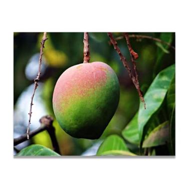 Imagem de LKXGRRSFG Arte em tela de manga meio madura, fruta sazonal e paisagem fotografada real – Decoração fresca para sala de estar e sala de jantar 39,98 x 52 cm sem moldura