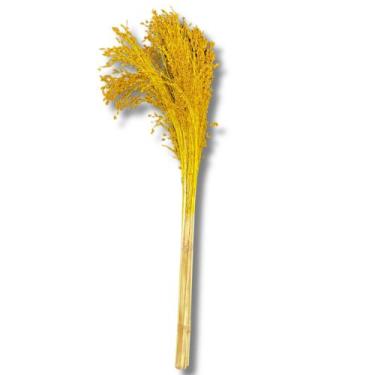 Imagem de Buquê Flor De Vassoura Cores Natural Arranjo Decoração Festa - Inspira