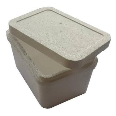 Imagem de Caixa De Isopor Térmica Para Sorvete, Medicamentos 2Kg - Isoterm