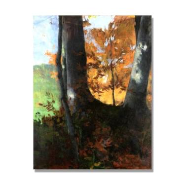 Imagem de NHLDZYH Impressões de artistas famosos, (Edge of the Forest 2) por Hans Emmenegger, pôster de reprodução de impressões em tela de paisagem para decoração de casa. Tela de 50 x 65 cm - 19,7 x 25,6 pol