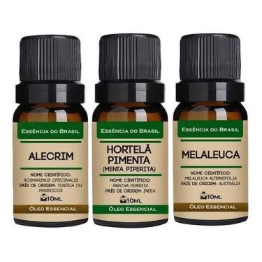 Imagem de Kit 3 Óleos Essenciais 10ml - Alecrim, Hortelã, Melaleuca - Essência d