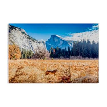 Imagem de Stupell Industries Arte de parede em tela Coyote in Mountain Prairie, design por Jeff Poe Photography, 61 x 91 cm