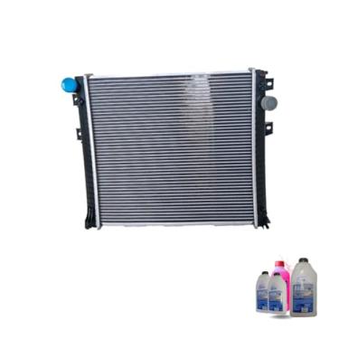 Imagem de Kit Radiador Ar MB Accelo 915C 1016 815 + Aditivo Visconde Rosa + Água Desmineralizada