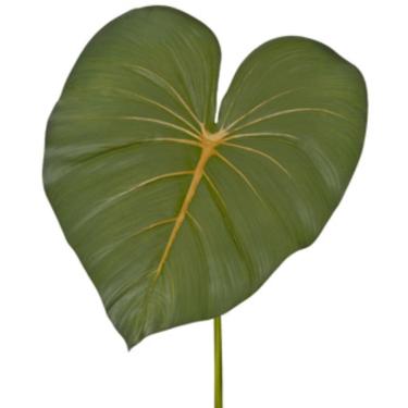 Imagem de Haste Folha Gigante Antúrio em PVC Verde