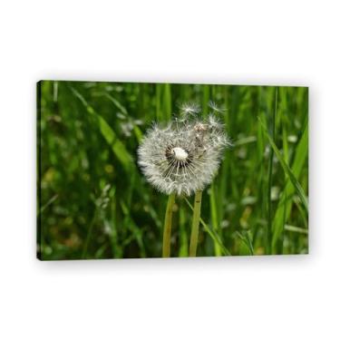 Imagem de Arte de parede pintura em tela dente-de-leão com sementes caídas impressão de pôster para sala de estar quarto cozinha escritório 75 x 50 cm