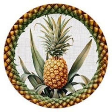 Imagem de Capa De Sousplat Tropicalia 534235 2Und 35Cm Belchior