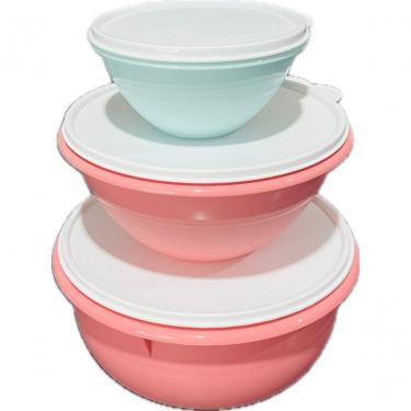 Imagem de Tigelas para Alimentos Kit 3,2L 1,8L 500ml Plástico com Fechamento Hermético e Estanque para Cozinha Tupperware