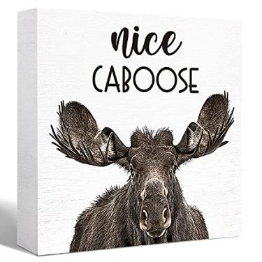 Imagem de SJNH Placa de Madeira Engraçada para Banheiro, 13 cm x 13 cm x 3 cm, Estilo Rústico, Madeira, Decoração, Citações Engraçadas para Banheiro