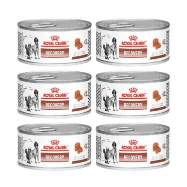 Imagem de Kit 6 Ração Úmida Royal Canin Recovery Lata Cães E Gato 195g