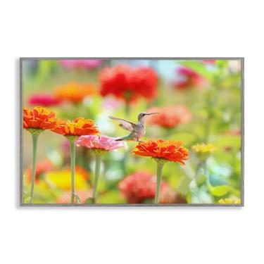 Imagem de Stupell Industries Design de arte giclée com moldura cinza beija-flor Sugar Fairy por Carrie Ann Grippo-Pike, 40,6 x 61 cm