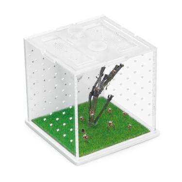 Imagem de Gabinete de aranha saltadora de acrílico, terrário transparente para répteis, caixa de tarântula versátil para pequenos répteis/insetos, tanque de répteis pequeno com conta-gotas, acessórios de aranha