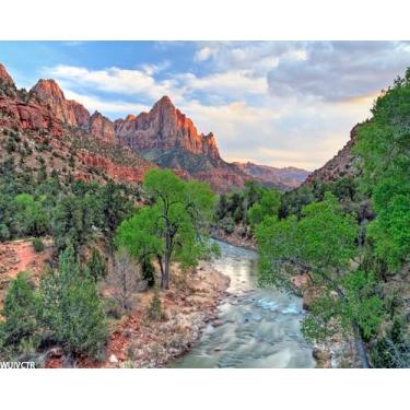 Imagem de WUIVCTR DIY Paint by Numbers Beautiful Zion National Park Sunny Day Utah conjunto de pintura em tela com pincel de pigmento acrílico para adultos iniciantes arte presente 40,6 cm x 50,8 cm