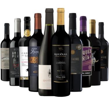 Imagem de Kit 10 Vinhos Tintos Premium