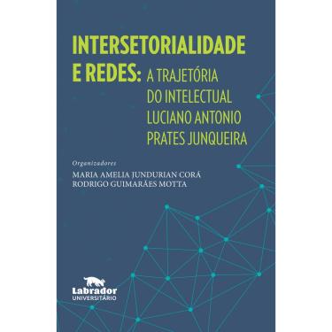 Imagem de Livro - Intersetorialidade e redes: A trajetória do intelectual Luciano Antonio Prates Junqueira