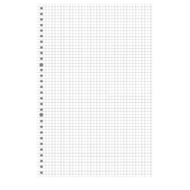Imagem de Caderno de substituição de bobina de folha solta, 26 furos, grade horizontal, folha, bloco de substituição-A4 (grade) -60 folhas