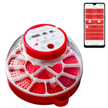 Imagem de Incubadora inteligente de 16 ovos – luz de vela integrada controlada por aplicativo, rotação automática, perfeita para galinhas, patos e codornas
