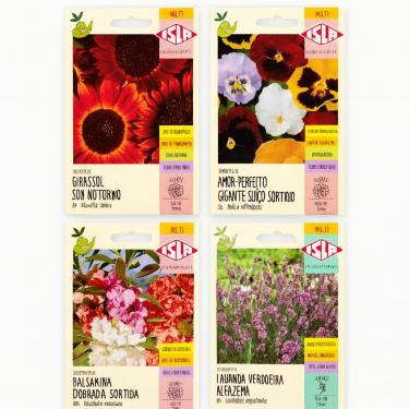 Imagem de Kit 4 Sementes de Flores: Girassol Noturno, Amor-Perfeito, Balsamina e Lavanda, jardim em casa, Jardinagem Amadora e Profissional, Vaso, Floreira.