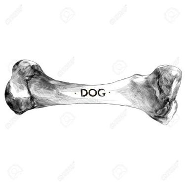 Imagem de osso para cachorro - playnews