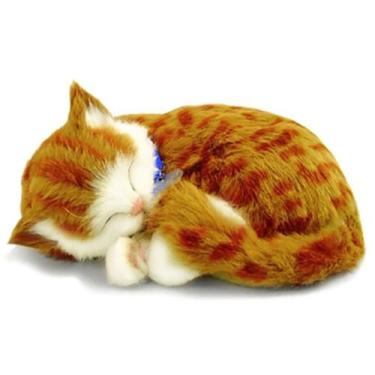 Imagem de Perfect PETZZZ Filhote Gato Orange TABBY