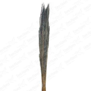 Imagem de Capim Fio De Ouro Desidratado - Roxo - Pense Flores
