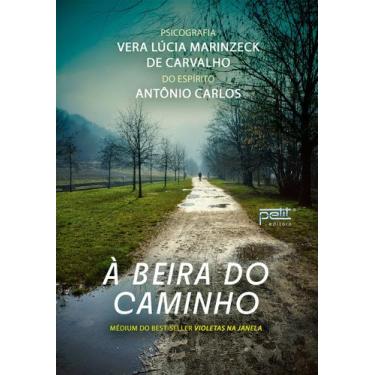 Imagem de Livro - A beira do caminho
