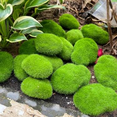Imagem de 5 peças de pedras artificiais de musgo verde para artesanato de jardim, simulação, artesanato, espuma, pedra falsa, faça você mesmo, decoração de paisagem, 5 x 7 cm