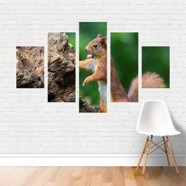 Imagem de Quadro Esquilo Roedor Serelepe Nóz Mamífero Animal Canvas