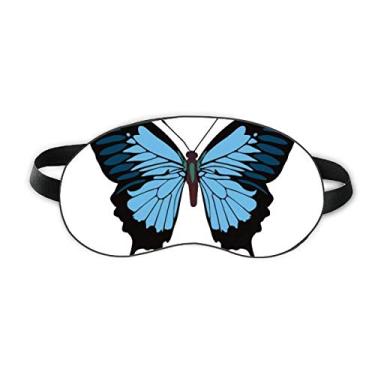 Imagem de Espécime de borboleta em azul escuro sombra sombra sombra sombra sombra noite macia