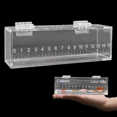 Imagem de Caixa de visualização de peixes com tampa e balança, mini aquário de pesca de acrílico, caixas para incubação de criadores de peixes, pequeno cofre portátil para ambientes externos e internos