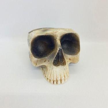 Imagem de Imagem Cranio Porta Velas Bco Escultura Resina Estatua 10 Cm - Filho d