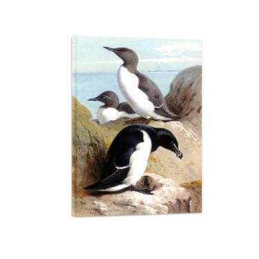 Imagem de Animais Pinturas Famosas Arte Parede-Fotos Lona para Sala de Estar-Três pássaros-Pôster e Imprimir Decoração 50x70cm20x27in Tela Embrulhada