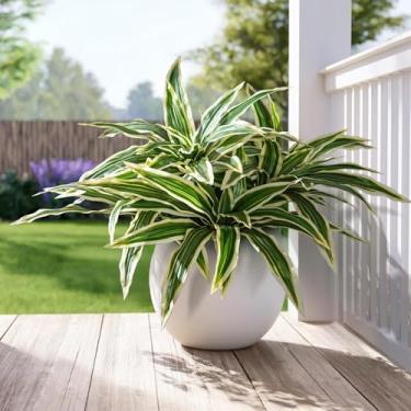 Imagem de Yarmare 4 ramos artificiais de dracaena, plantas artificiais, plantas falsas, vegetação falsa realista, plantas texturizadas realistas para varanda interna, pátio, casa, escritório, sala de estar