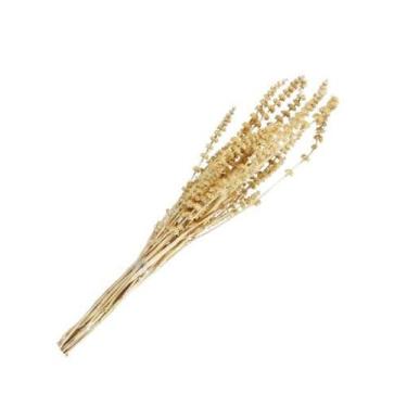 Imagem de Rubi Natural Alvejado Desidratado - Pense Flores