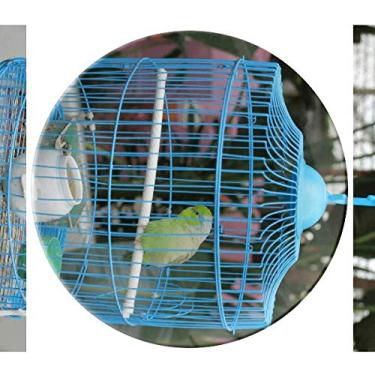 Imagem de Prato de papagaio decorativo de porcelana Salver louças de jantar