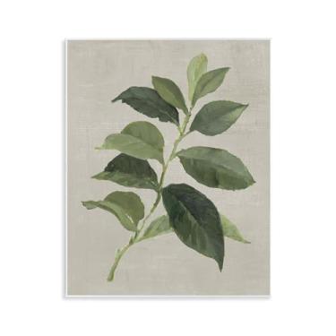 Imagem de Stupell Industries Arte de placa de parede de folha de planta de café arábica, design por Lanie Loreth, 28 x 35 cm