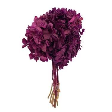 Imagem de Buquê Hortênsia - Inspira Flora, Vinho