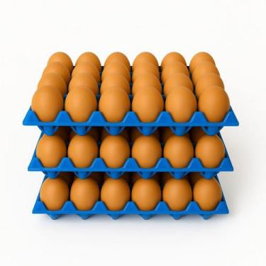 Imagem de Kit 3 Cartela De Ovos Plástica Bandeja 30 Ovos Higiênica - Global Cont