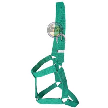 Imagem de Cabresto de pónei Para Cavalo Quarto De Milha passeio - selaria shoppi