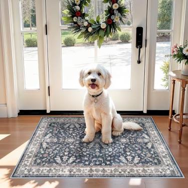 Imagem de Tapete de cozinha lavável antiderrapante 5 x 7 cm - Tapete de área pequena macio Boho para pia, entrada, área de animais de estimação e banheiro - Tapete de porta interno fino de pilha baixa (azul, 2