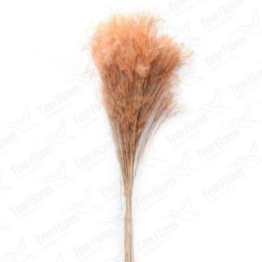 Imagem de Capim Rabo Egua Natural Desidratado - Pense Flores